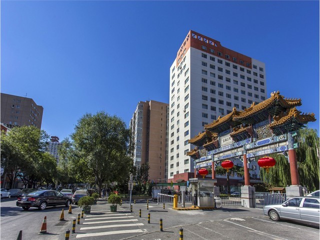 曲靖富源二代魔芋种子产地货源